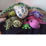 turtle power world