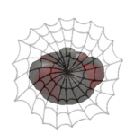 The Colts