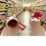 Pop cat skittlez