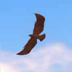 Napoleonic Birds Enjoyers
