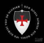 The Guild of Paladins
