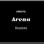 Arena Raiders