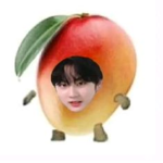 las yeongyunistas y sookaistas xd