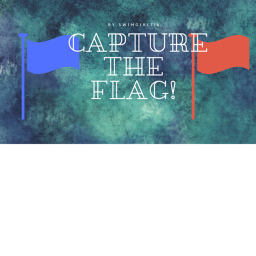 Capture the flag!!