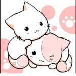 Kitty zone