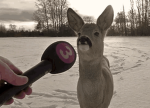 Fabre Fabrications: Tailoring