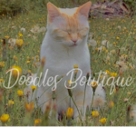 Doodles • Boutique
