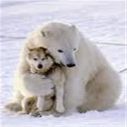 bear hugging dog Roblox decal