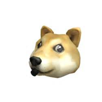 I love dogs program