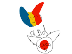Romania and japan team (fan group)
