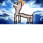 TEH#KIMPIE