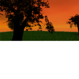 Morning afternoon[MAIN]
