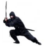 the ninjas assasins