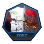 caption=Badge