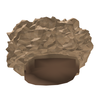 Zion Fro V2