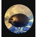 AAAAAADAAAMMMMM
