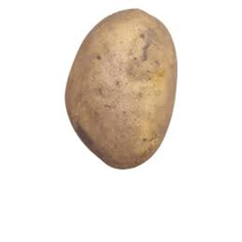 I like potato!!