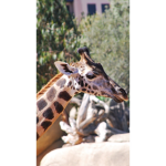 Kids only group plz ask before joining the group