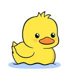 Duck Studios¹
