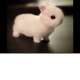 Chill bunny place