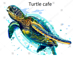 Turtle cafe - training center