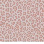 Aestheticxclo