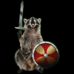 ArmyRaccoon