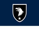 Nationalist Armed Air Forces