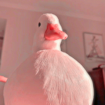 Artemis Strawberry milk