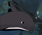 Porpoise Studios