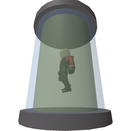 1dev2