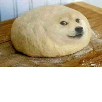 강아지 서바이벌