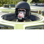 The Tank Monkeys