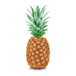 PINEAPPLE FANS