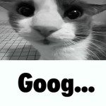 dequalityed's projects