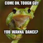 im a frog, problem?