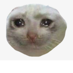 idk what to do in life