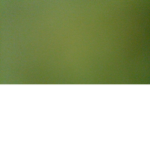 bbgbgbgbg