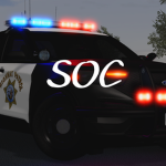 NEVADA SERVER ENFORCEMENT