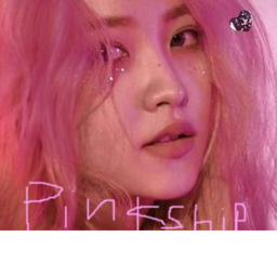 PINKSHIP ECT HOMESTORE