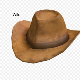 The Wild West
