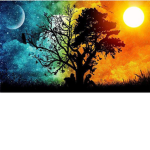 Moonlight day light