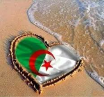 عشاق الجزائر