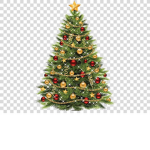 #TREES FOR LIFEEE