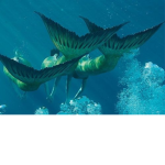H2O: Mermaid Magic