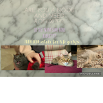 Cats for life girly