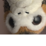 Porg army!