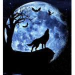 Wolf family<3