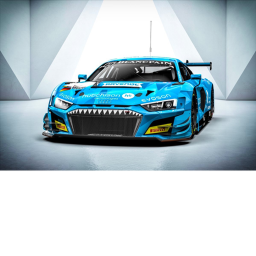 NEW RACE