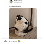 Well Rounded Bois